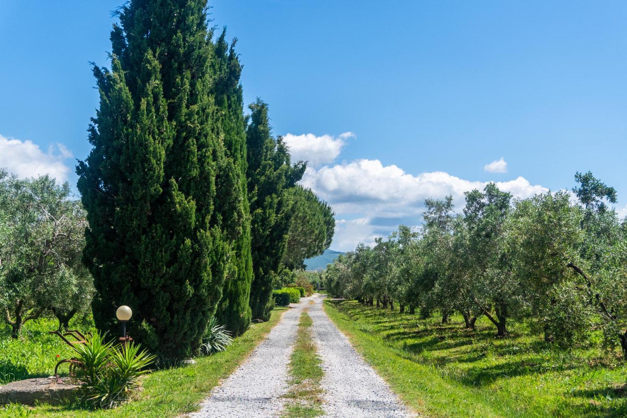 Agriturismo Il Tripesce Vada Exterior photo